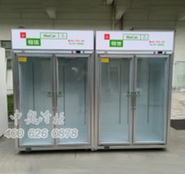 便利店两门冷柜